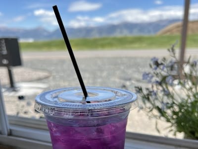 Wildflower Coffee Co.