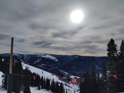 WILDWOOD EXPRESS CAFÉ