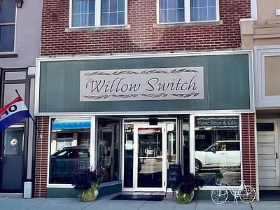 Willow Switch