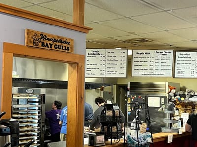 Winnipesaukee Bay Gulls 2