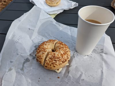 Winnipesaukee Bay Gulls 2