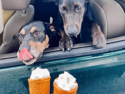 Wired Bean Coffee (East Side)