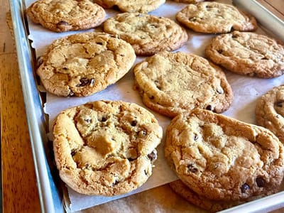 Wolf and Mermaid Enchanted Cafe