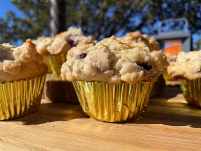 Wolf and Mermaid Enchanted Cafe