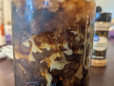 Wolf Grounds Coffee Shop