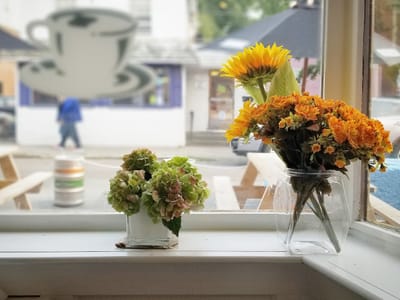 Wolf Next Door Coffee