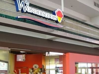 Wonderscoops