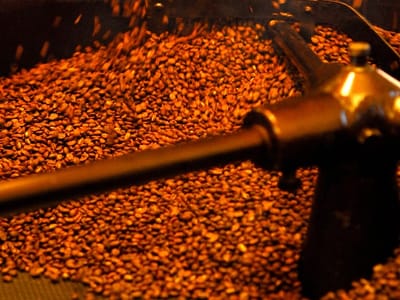 Wonderstate Coffee - Offices & Roastery