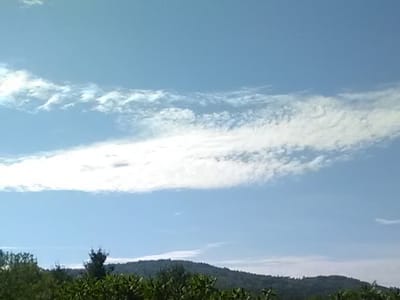 Woodshed Roasting Company