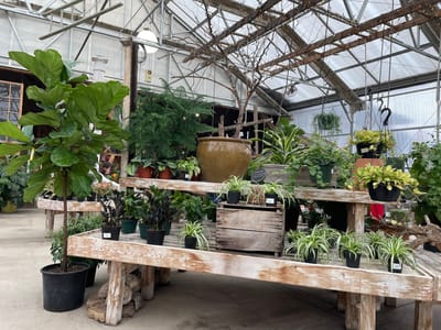 Woodstock Garden Cafe