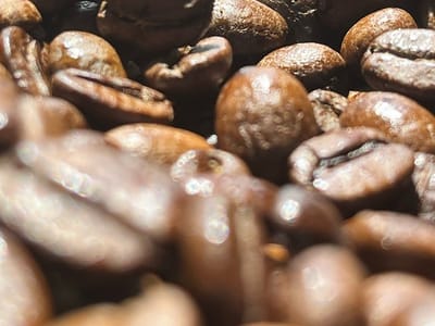 Wyoming House of Coffee LLC