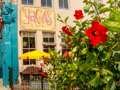 Yaga's Cafe