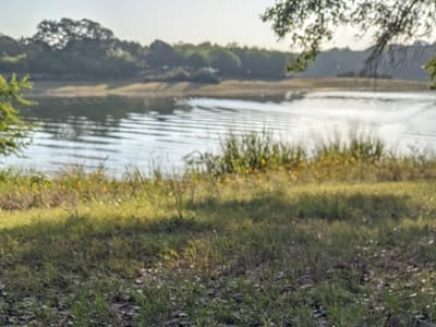 Yellow Dog Coffee Co.