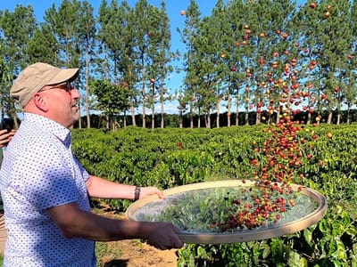 Zingerman's Coffee Company