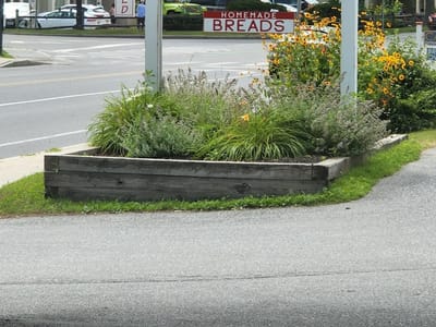 Zoey's Deli & Bakery