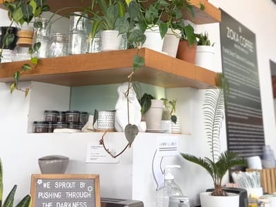 Zoka Coffee Roasters and Tea Company